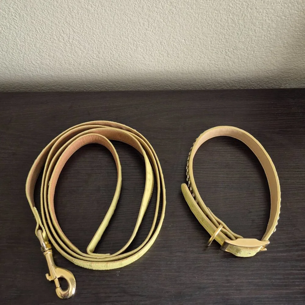 Lady Churchwell's Leather Dog Collar and Leash
